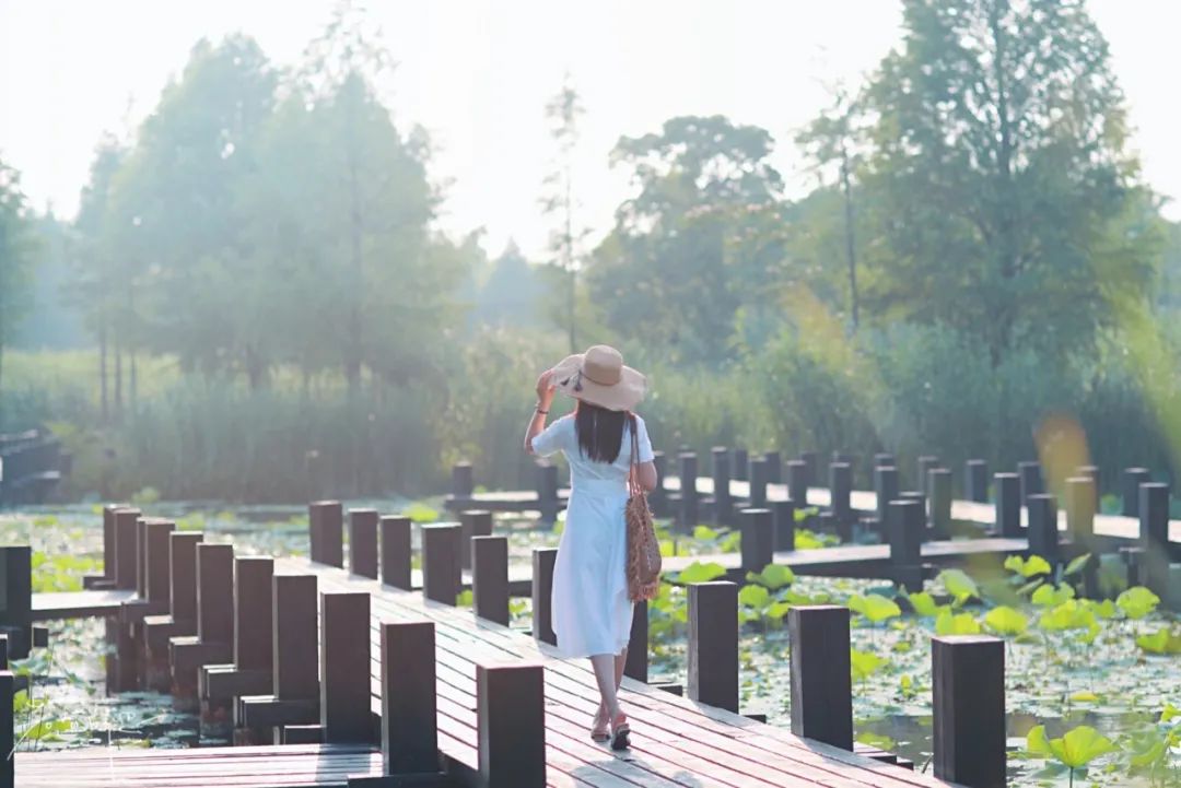 娌欏娴滅殑绱壊鑺辨捣,娌欏娴滈鏅尯鑺辨捣