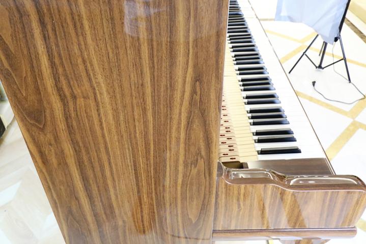 德国“洛尔菲”钢琴RF123E技术评测(连云港一生钢琴城原创)