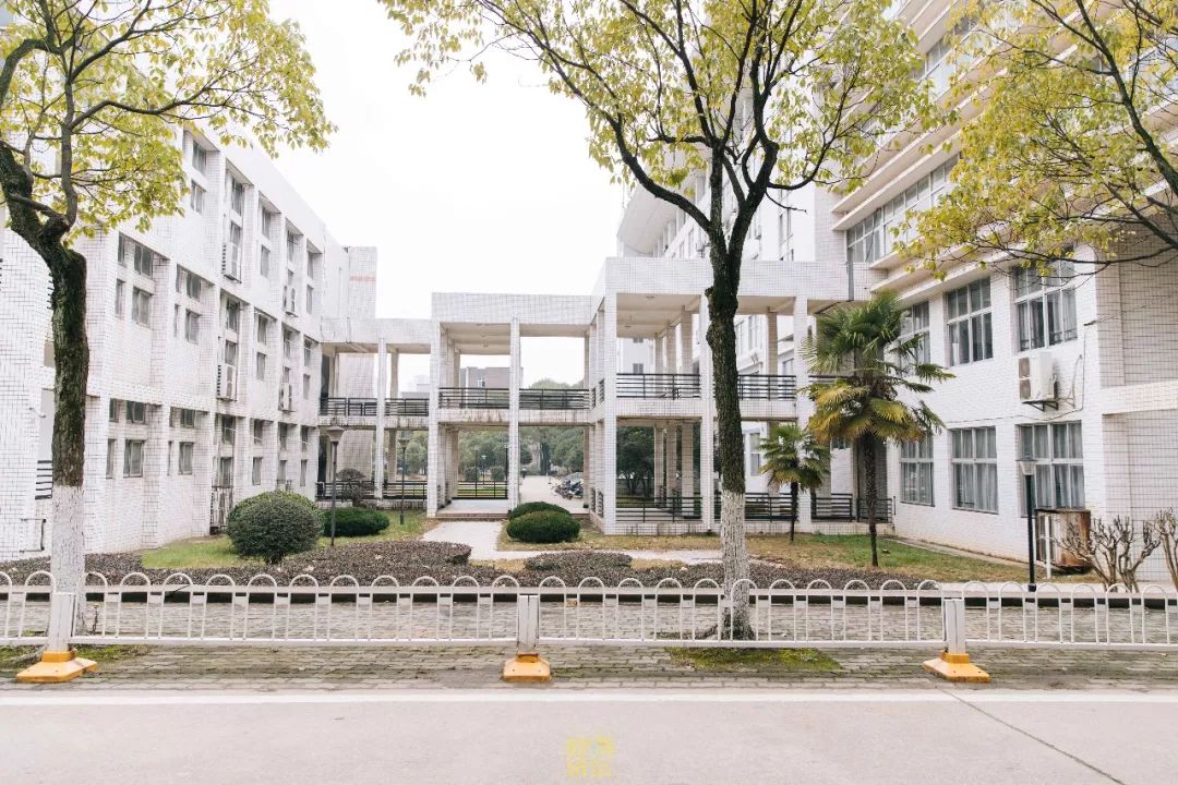 在武汉必做的20件事,不骗人成不了大事