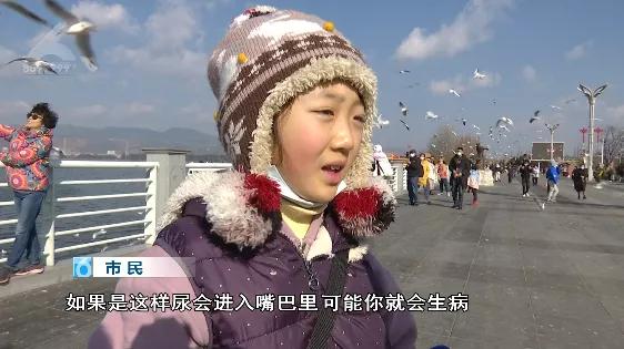 “屎到淋头”？嘴叼面包喂昆明海鸥大家最担心的事情发生了？