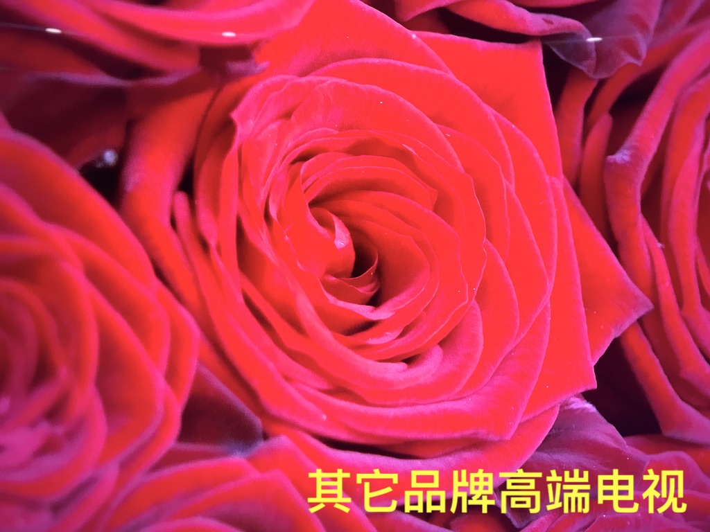 索尼电视画质排名,小米电视和索尼电视画质对比