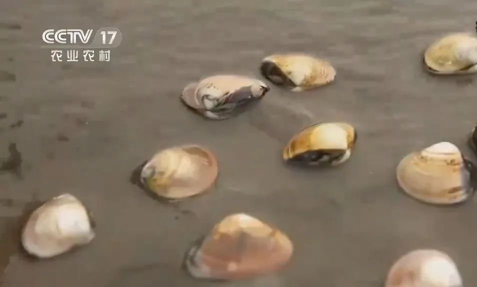 请依次用韩文读出来,请朗读并圈出元音不同的单词