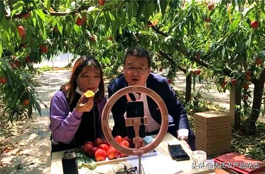 这颗桃不一般！看麻兰油桃如何“桃”人欢心