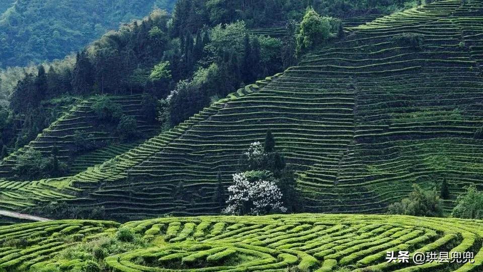 珙县孝儿、洛亥、上罗、玉和....全县都在做这样一件事情