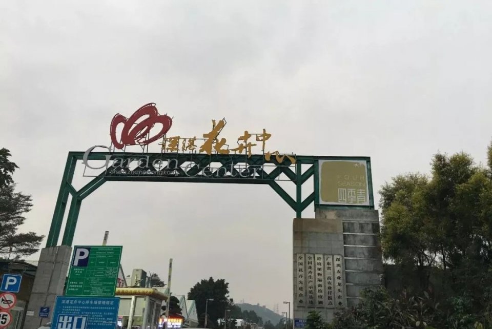 深圳批发年货零食市场,今年深圳的年货市场在哪里