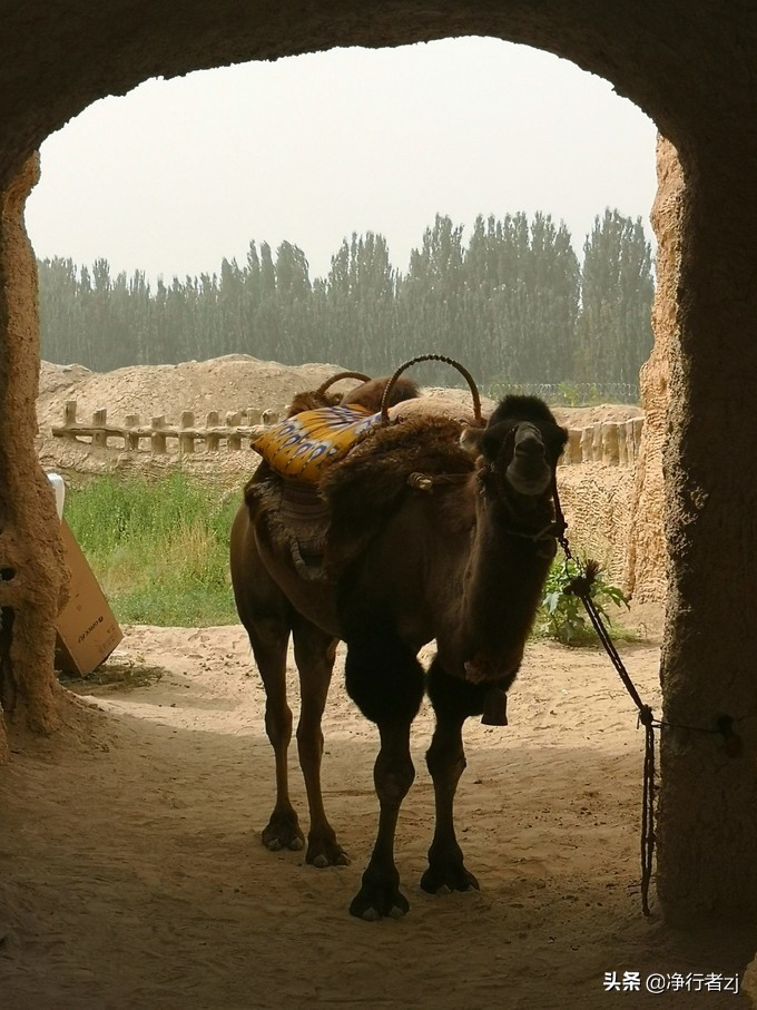 「原创」穿越多彩*疆新**（第七站）叶城，昆仑第一迷城