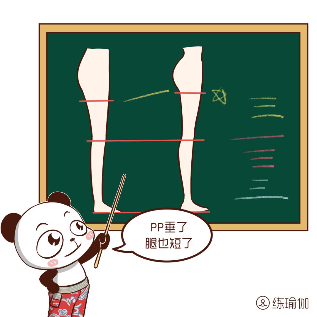 有臀部正常还是没有臀部正常,臀部与健康的关系