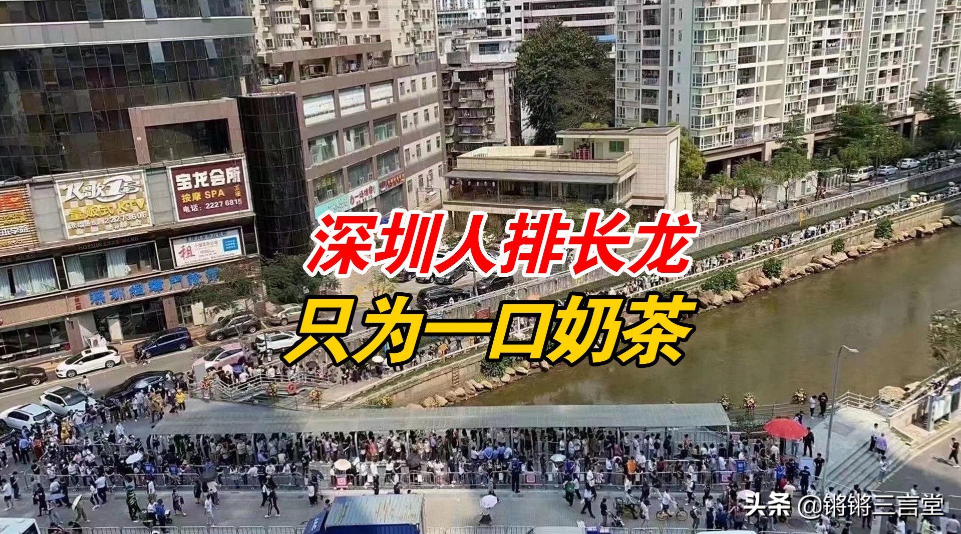 深圳最火网红茶 (网红茶为什么那么多人排队)