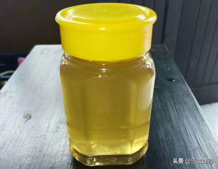 市场上各种钓鱼小药真的管用吗,常见钓鱼小药有哪些