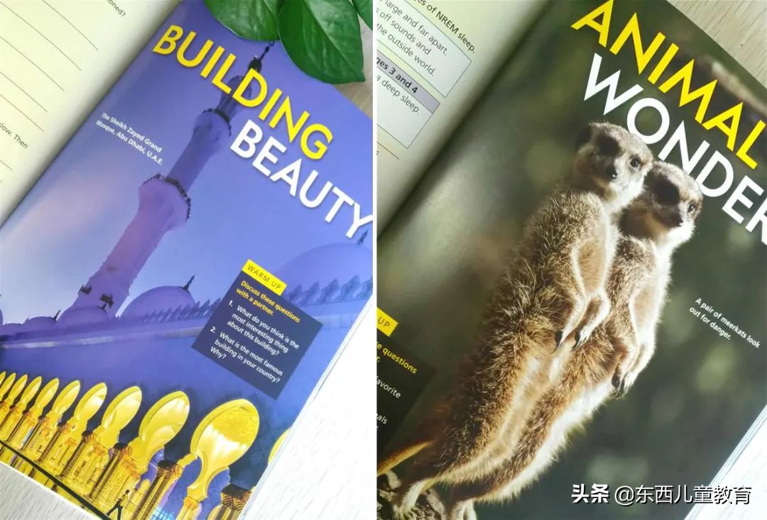 深度测评｜看看咱们的英语“牛娃四件套”能炸出多少潜在牛娃