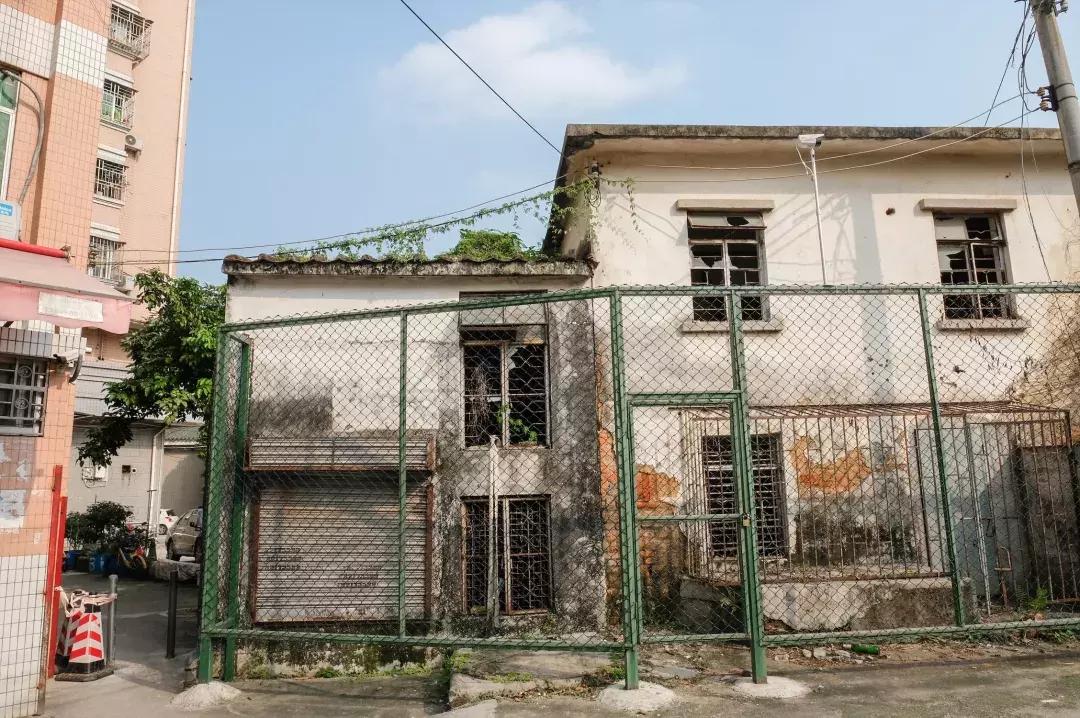 笋岗，不说再见！