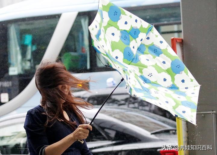 太阳伞防晒买什么材质的,太阳伞推荐防风结实