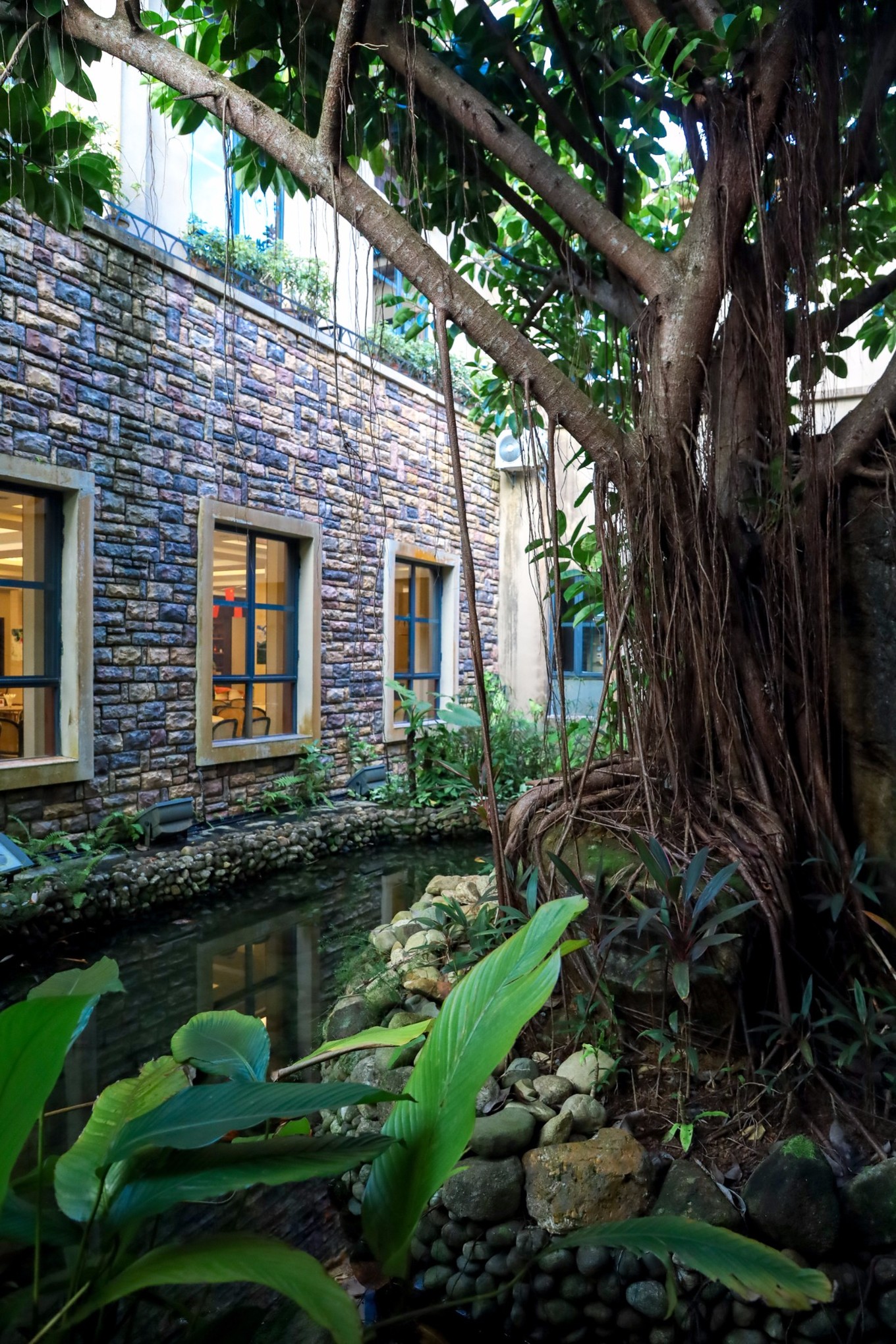 呀诺达雨林探险是什么,三亚呀诺达雨林正规吗