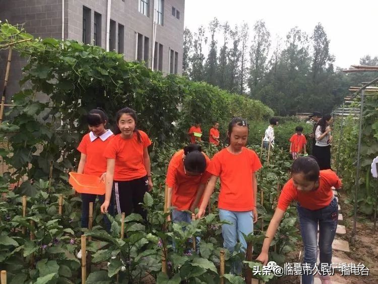 临夏市青少年学校外活动中心,临夏儿童暑假训练营
