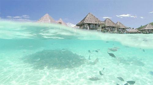 铂爵旅拍普吉岛拍照多少钱,普吉岛铂爵旅拍真实感受