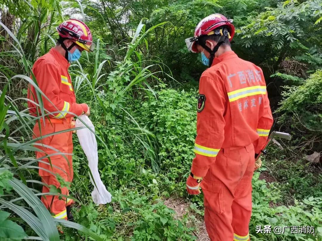 云南消防捕蛇,消防捕蛇