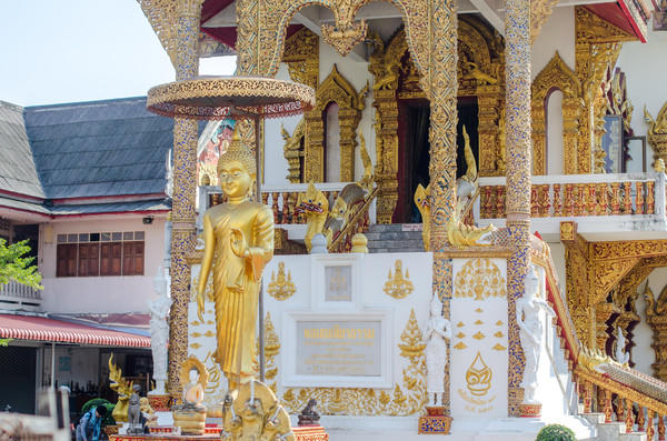 去清迈度假享受片刻的宁静,12月的清迈