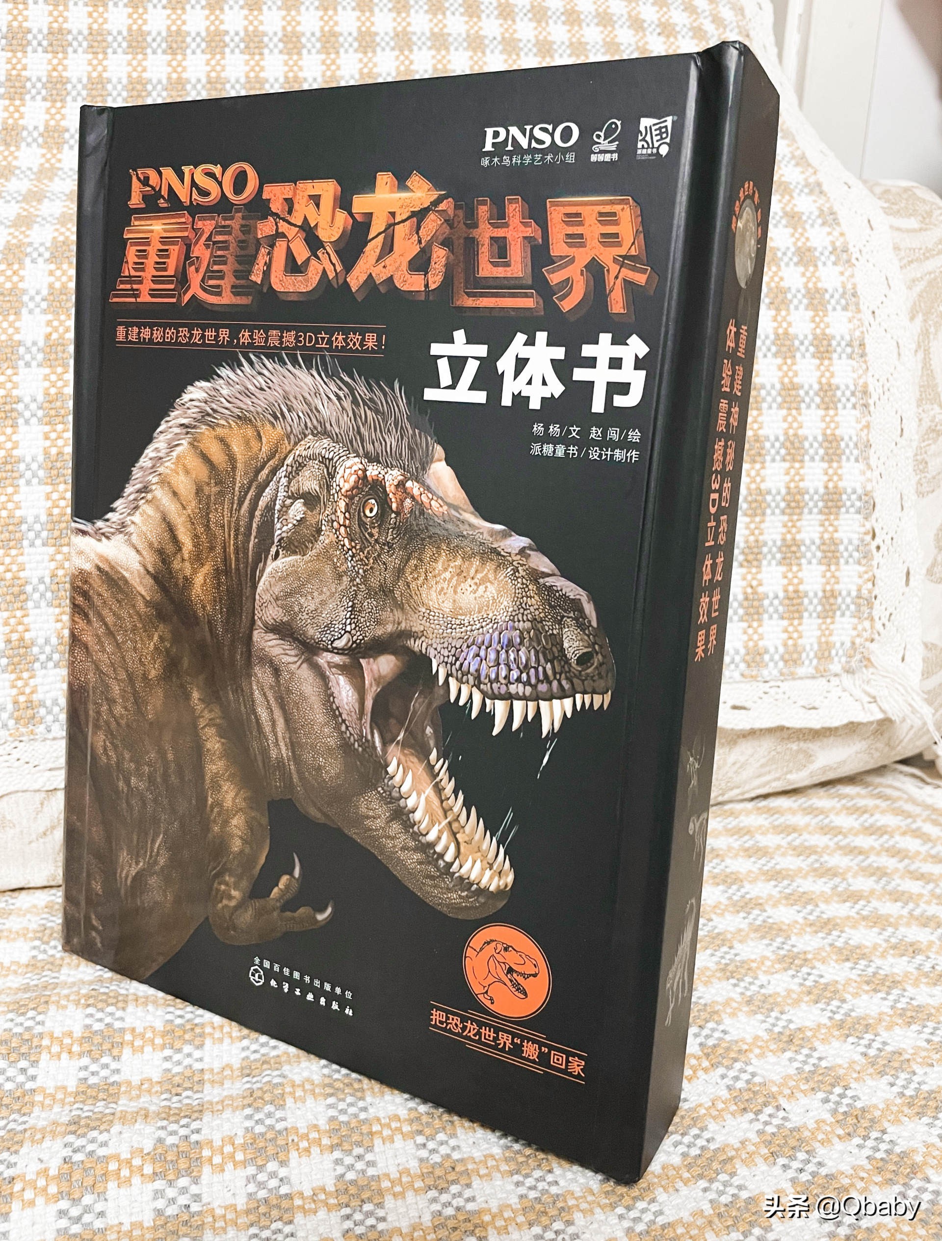 恐龙大百科恐龙探秘,恐龙探秘恐龙化石