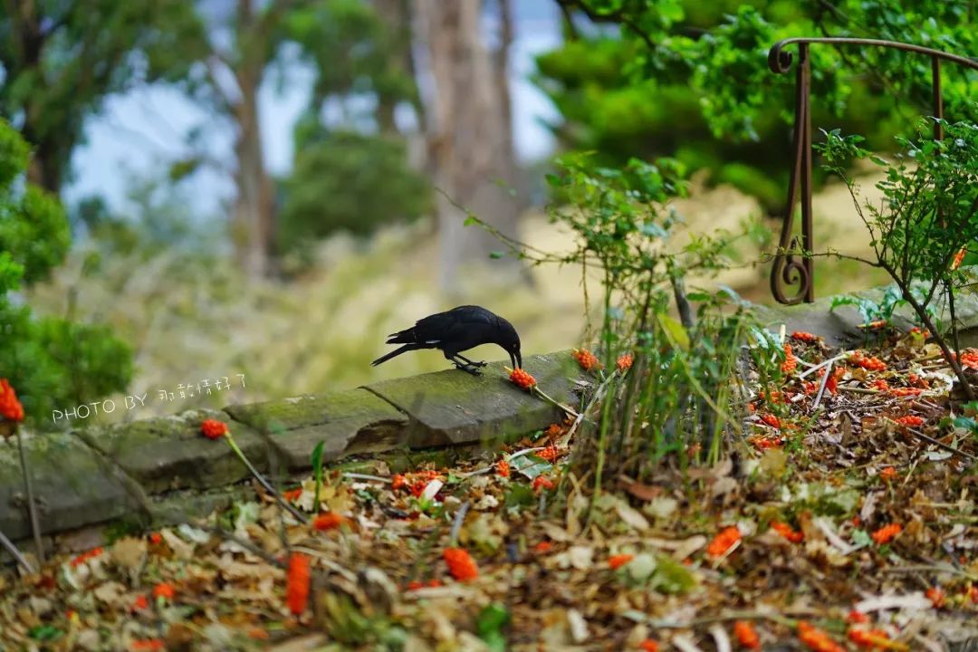 塔斯马尼亚幽灵之旅，夜访世界尽头190年历史闹鬼老监狱