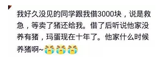 同学找我救急借钱，说卖了猪还我，可他们家什么时候开始养猪啊