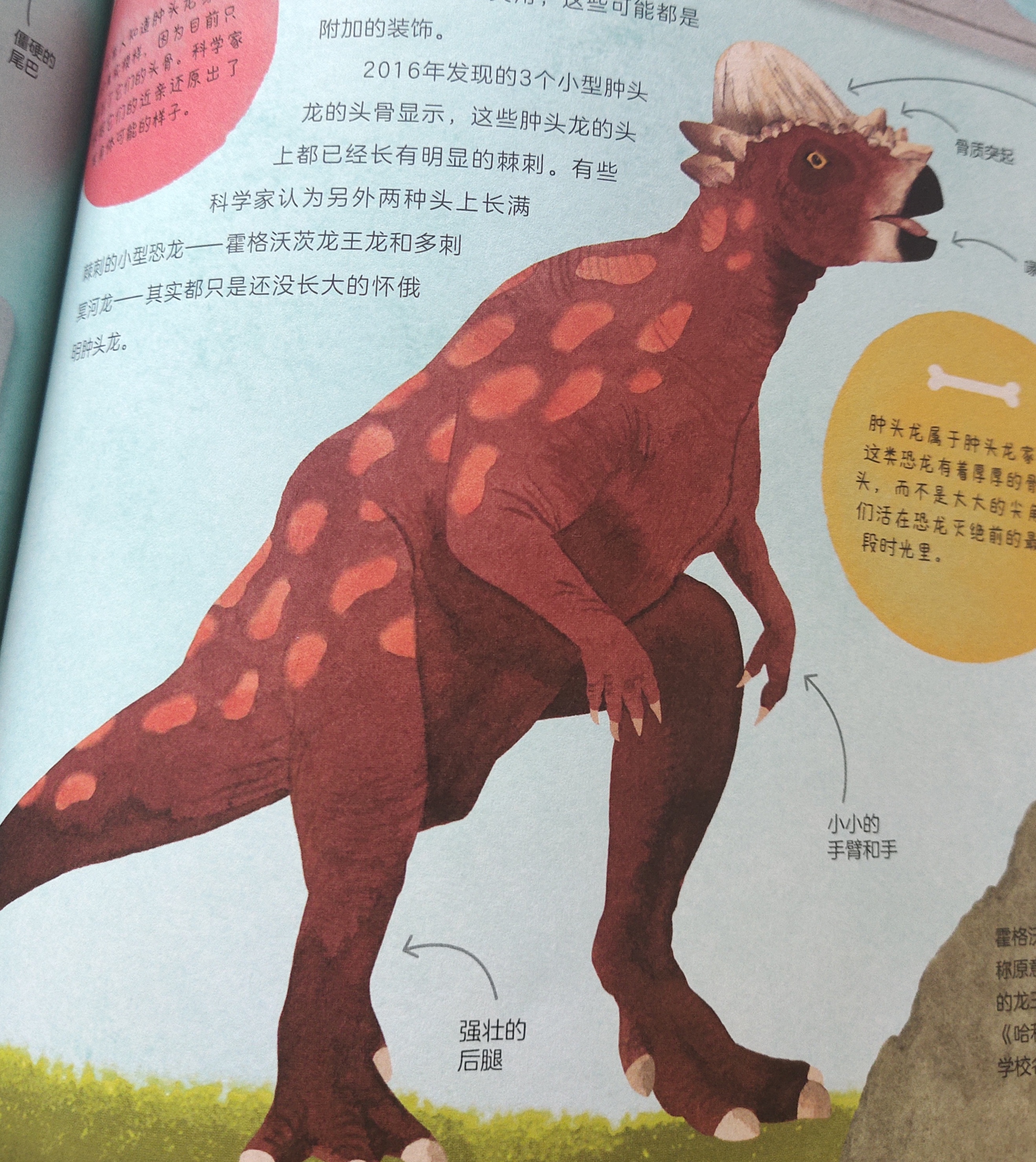 科学院恐龙科普视频,中科院的科普视频