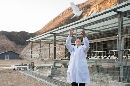 扶贫石头村后续,京东石头村目前现状