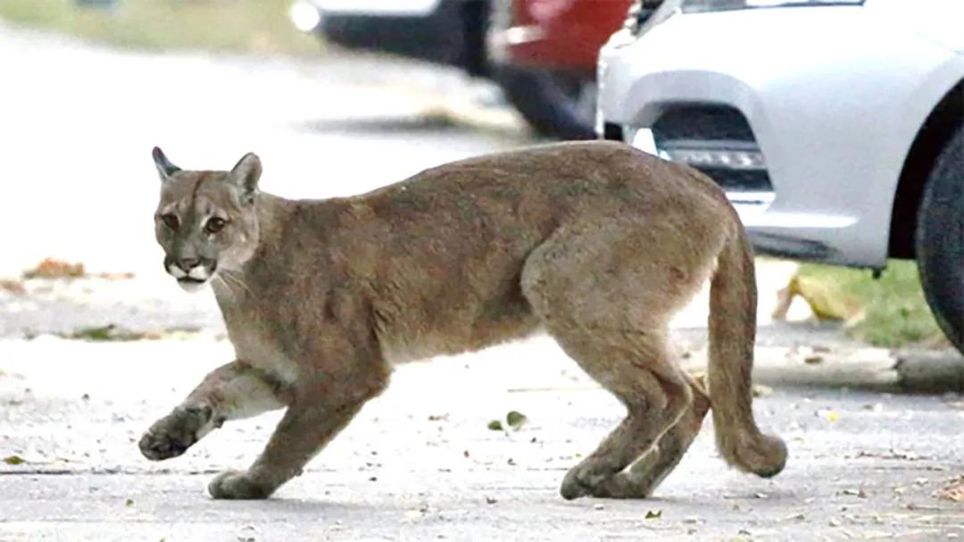豆瓣2.5分神作,豆瓣9.5分的神作不该如此小众