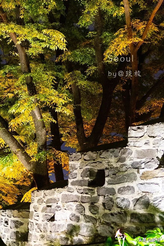 情人节来了！关于浪漫，有种解释叫做：带她来韩国N首尔塔