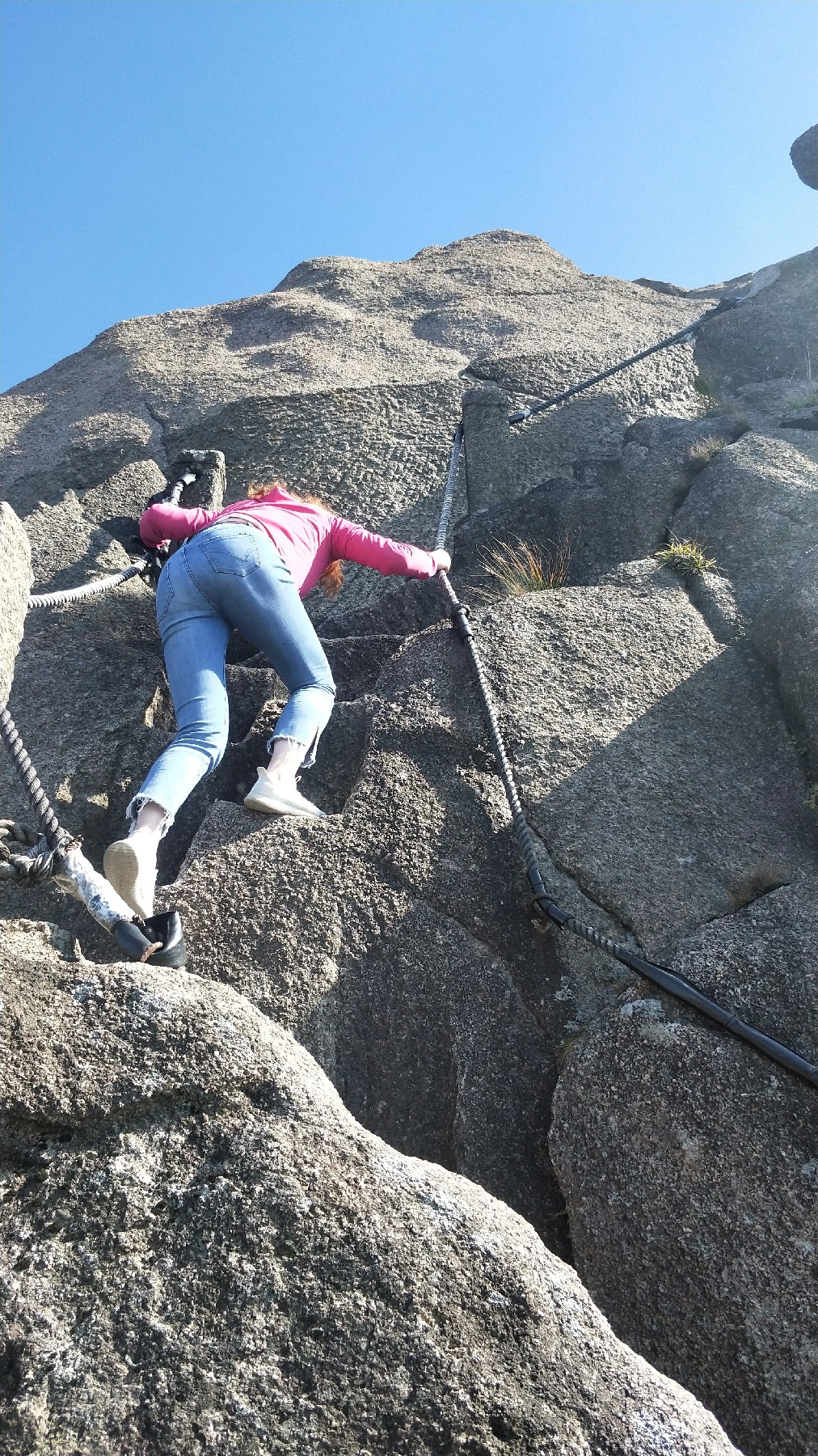 灏戝勾鏃剁殑姊︽兂榛勫北,瀛︾敓鏃朵唬姊︽兂