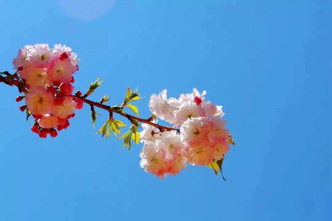 南怀瑾经典100句,南怀瑾老师讲开悟最简单的方法