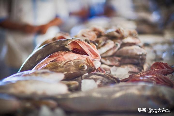 迪拜好玩的景点排行榜,迪拜哪些景点好玩的