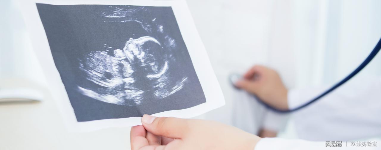 一名医生给父母的建议:产前诊断胎儿有缺陷怎么办?