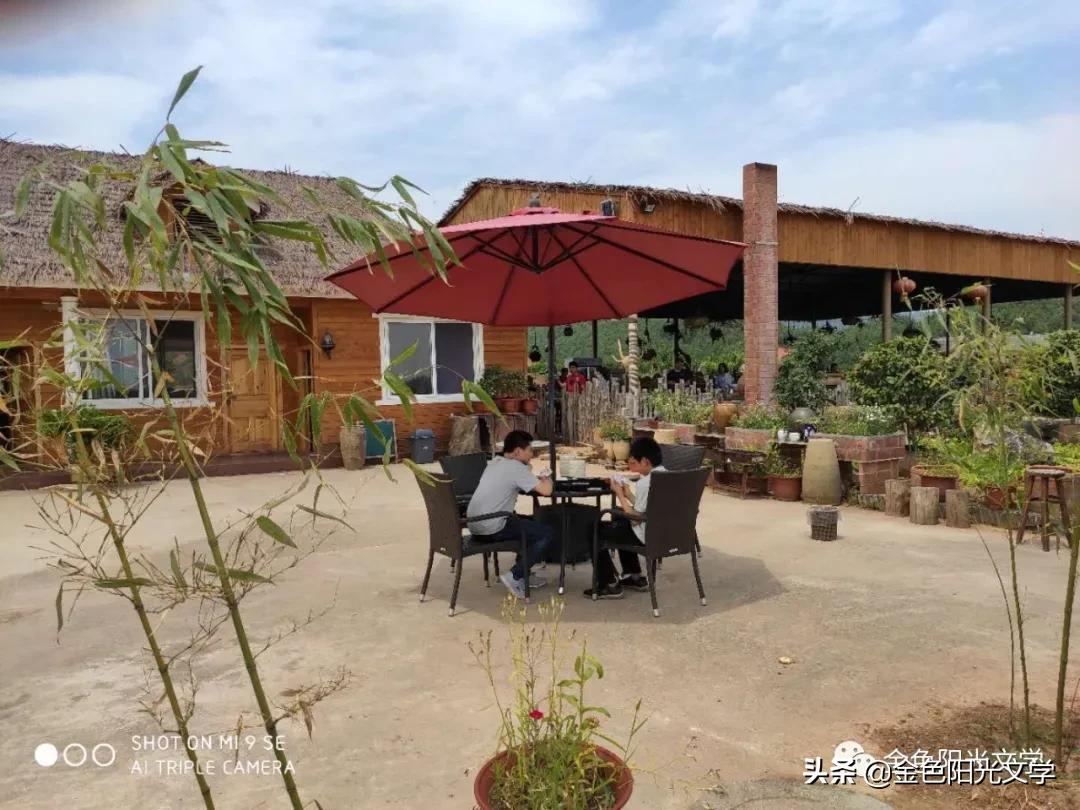 写我的乐园的作文,我心中的乐园作文