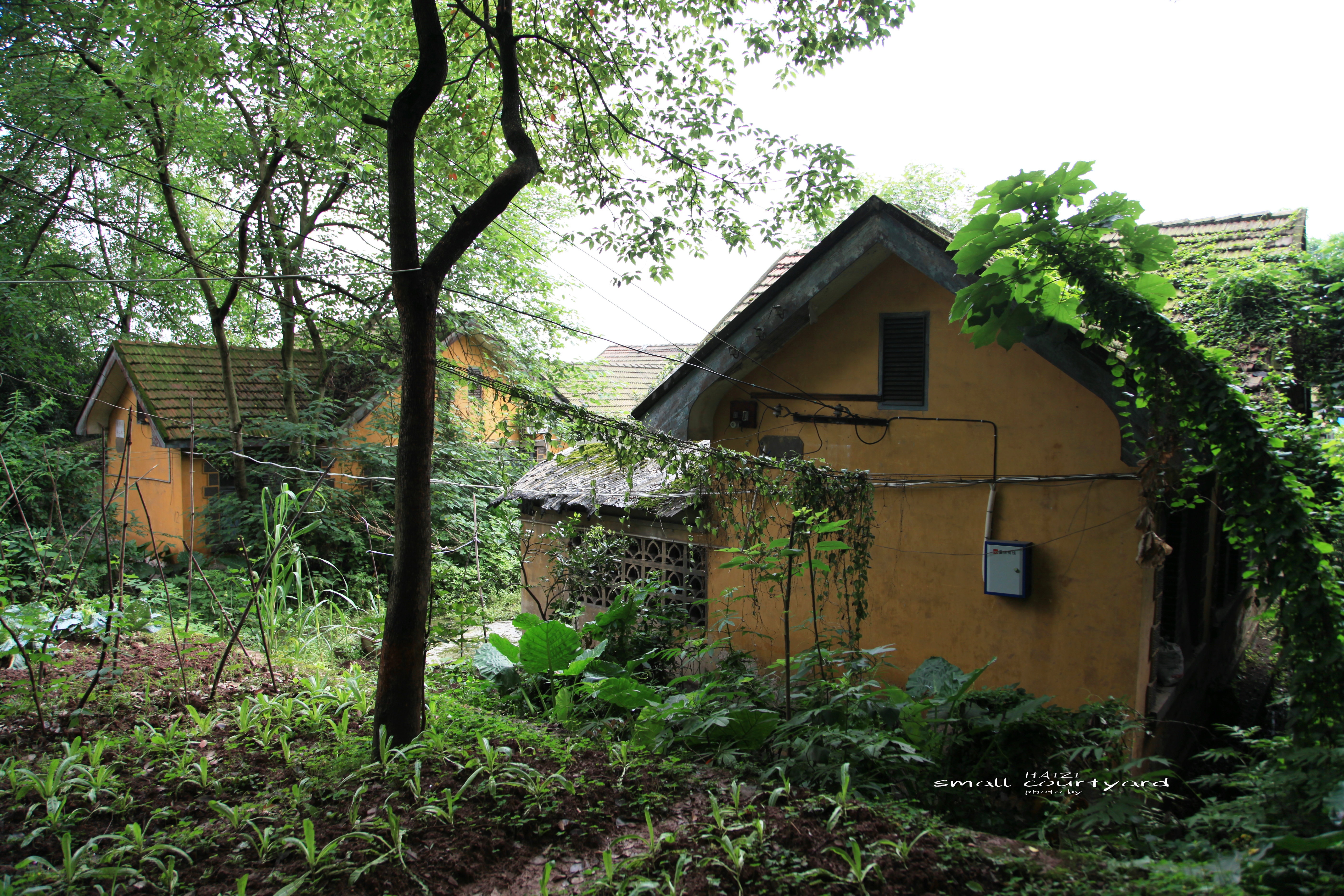 北碚区原三线建设老厂区,北碚机械工业部第三设计院