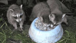 看了整整七分钟，他们最终还是上去了