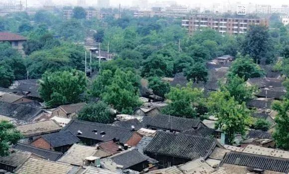 40年前的照片满满的回忆,致青春致回忆三十年前的老照片