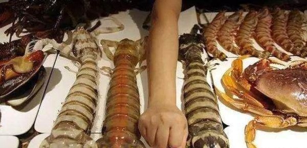 皮皮虾小朋友表情包,皮皮虾特别火的小孩子表情包