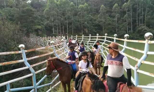 广东广州秋天正确的打开方式,广州花都夏天的好去处