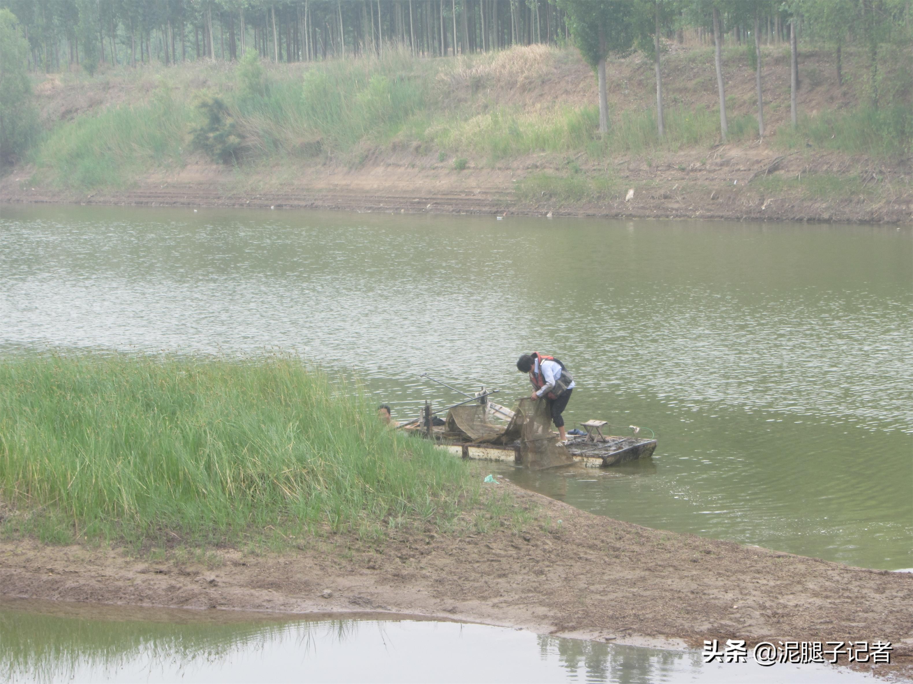 农村小伙捕鱼的真实经历,农村小伙捕鱼的神奇经历