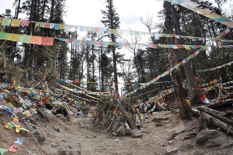 雪山脚下的雨崩村徒步,雨崩村徒步之旅