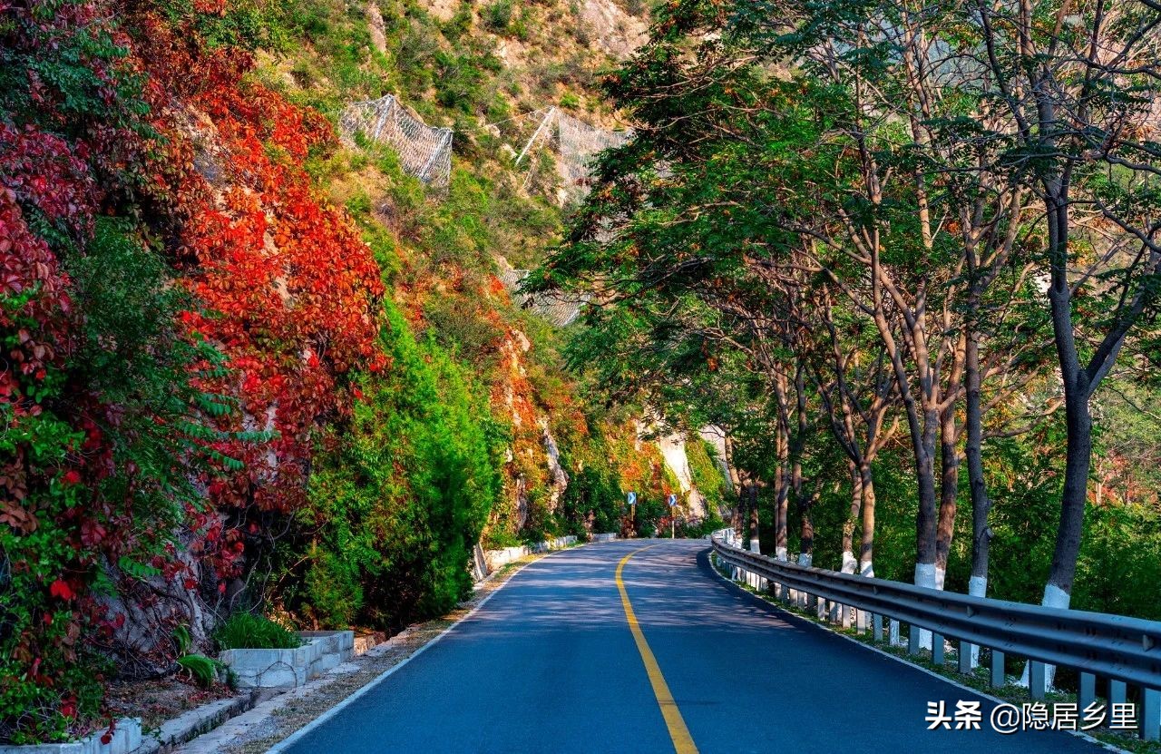亲子京郊游红叶,国庆去北京看红叶攻略