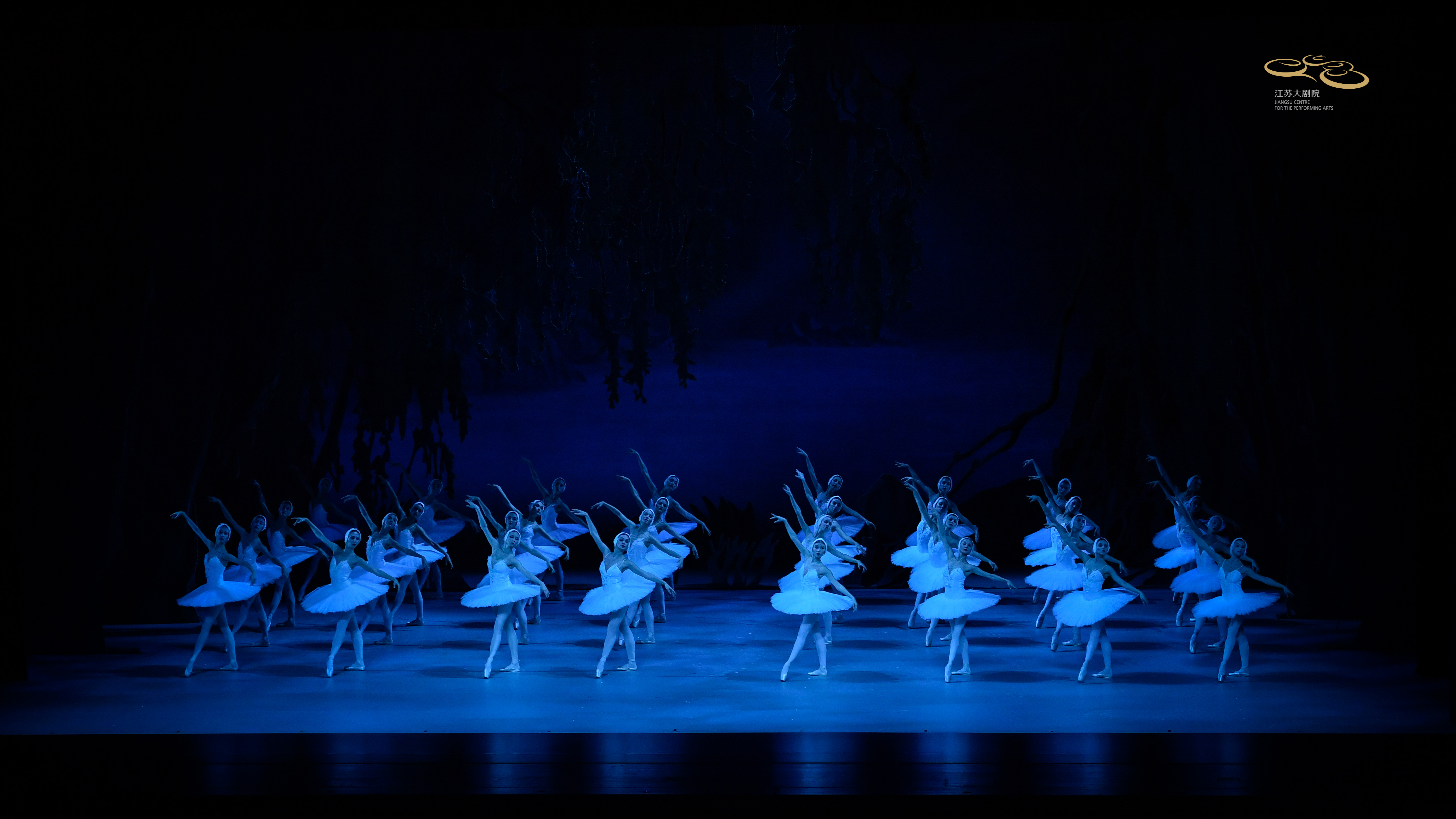 天鹅湖芭蕾舞国家大剧院,江苏天鹅湖