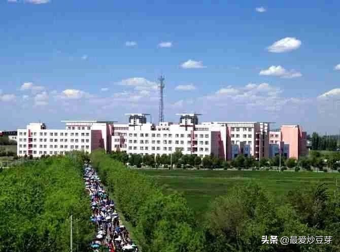 曾经的我们经典语录校园,我的大学之旅经典语录