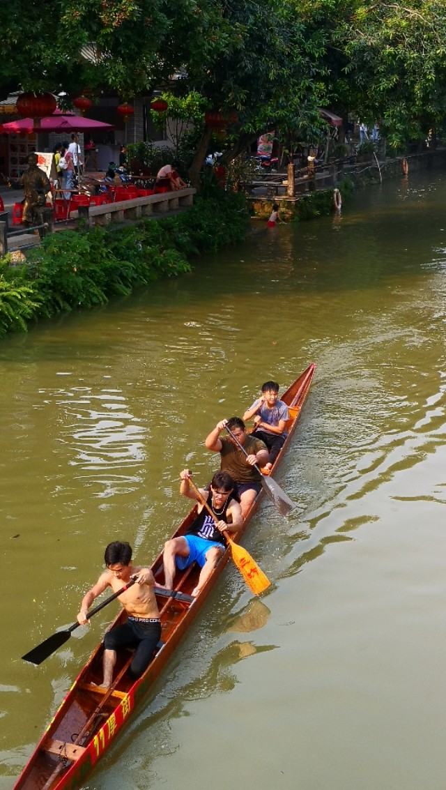 顺德逢简水乡有什么好玩的地方,顺德杏坛逢简水乡一日游攻略