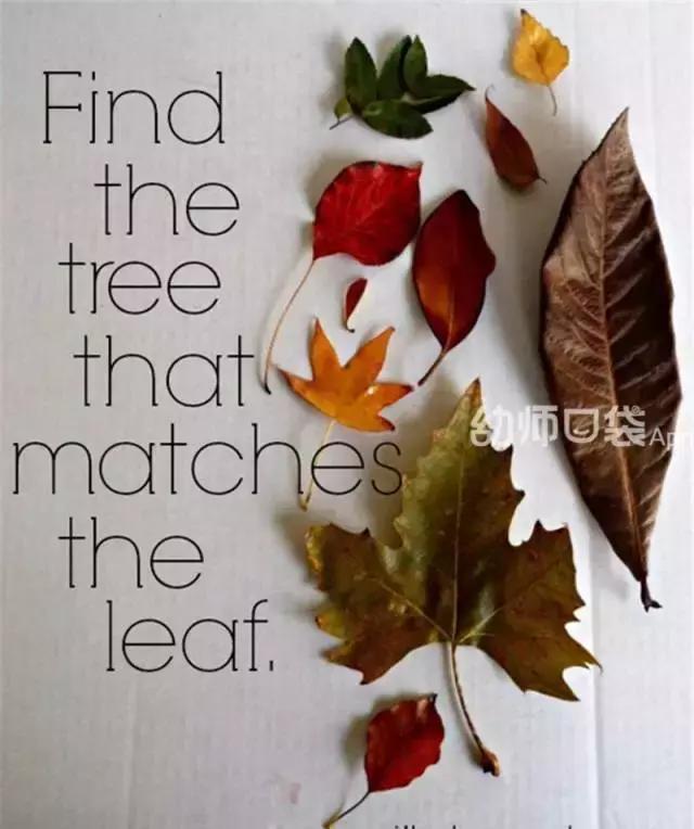 绉嬪ぉ涓婚鍖哄煙娲诲姩璁捐鏂规,绉嬪ぉ涓婚璇剧▼娲诲姩鏂规璁捐