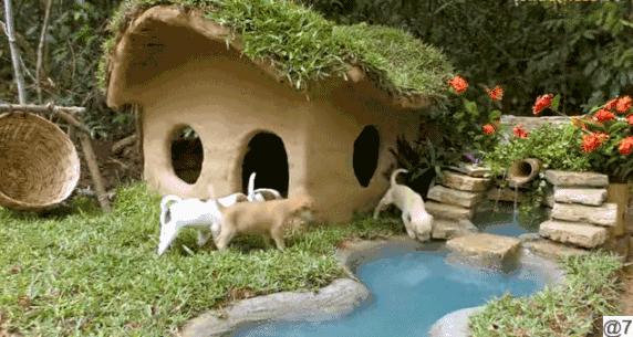 小哥哥徒手建房子,小伙为流浪狗打造温馨的城堡