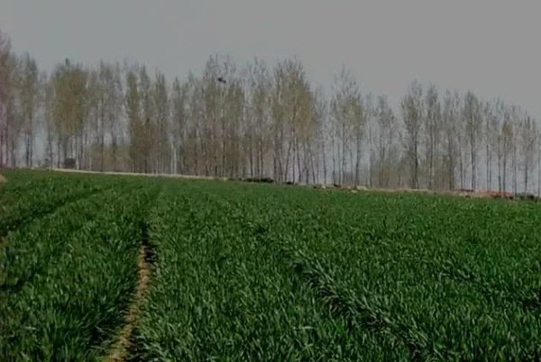 一亩地怎么换算平方米,面积换算公式大全一亩地多少平方