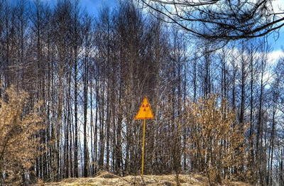 核辐射对人的危害视频,核辐射的危害及分析