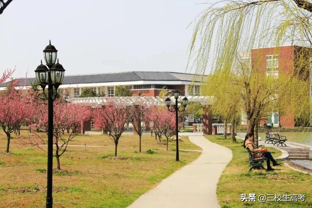 上海立达专升本报名条件,立达学院游学