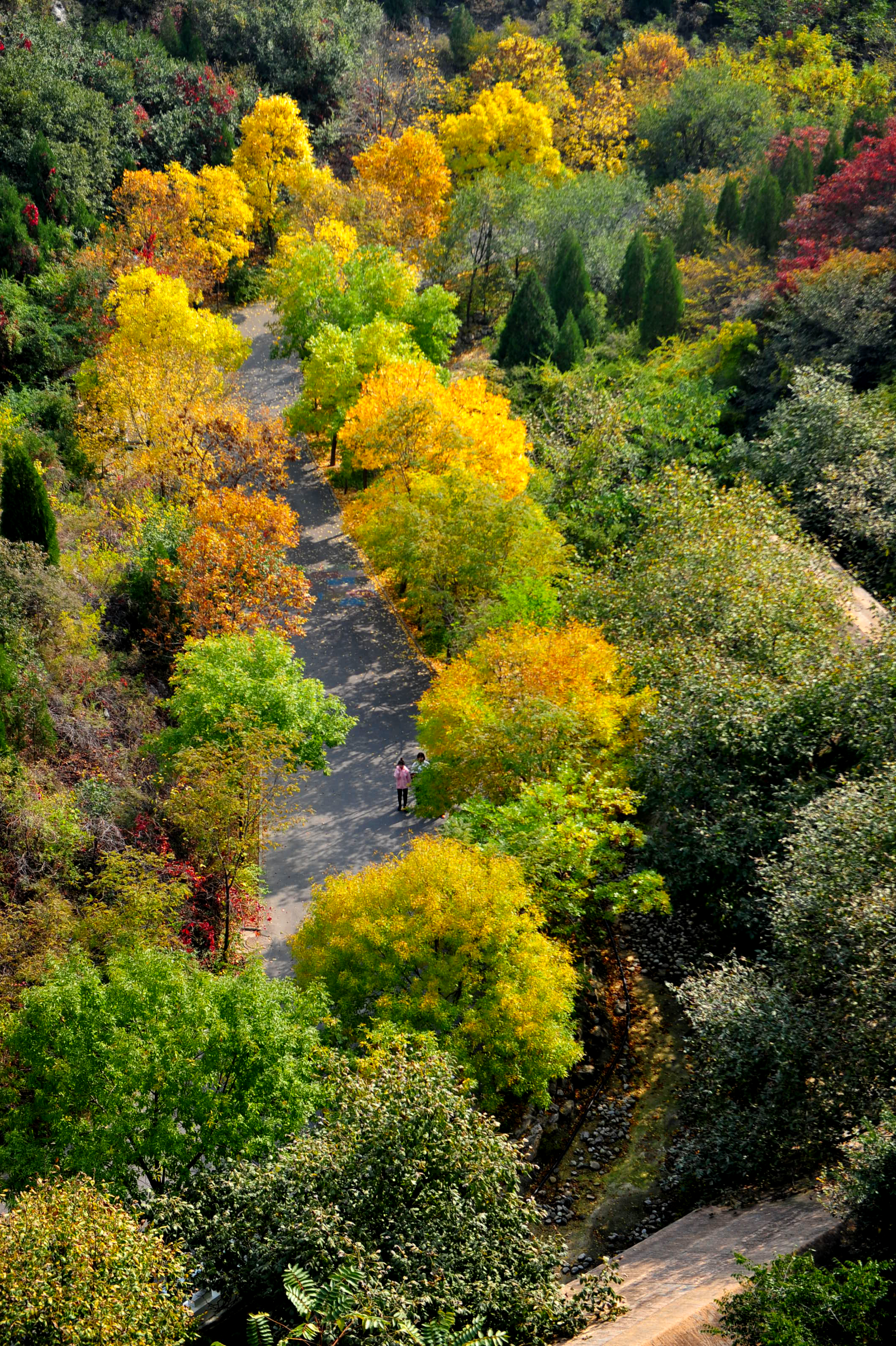 木叶动秋声完整视频,木叶动秋